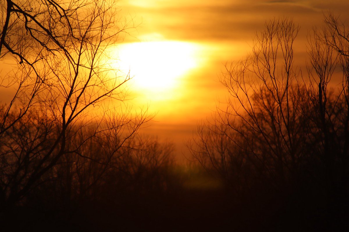 Eric Meadows tweet media