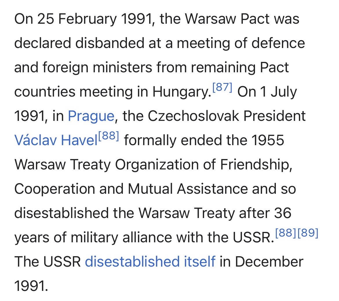 Silly Cat tweet media