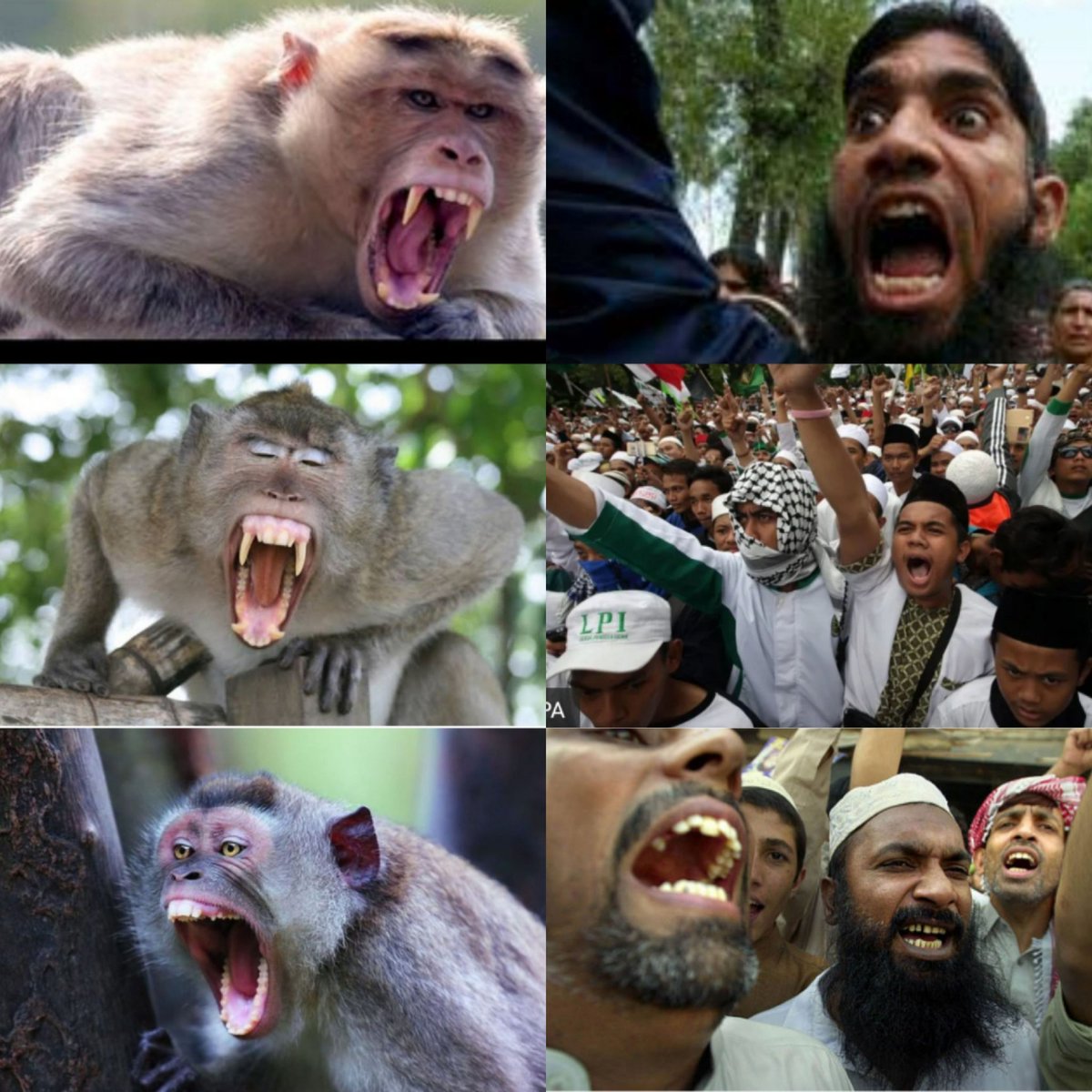 Bangsa Pilihan Tuhan tweet media