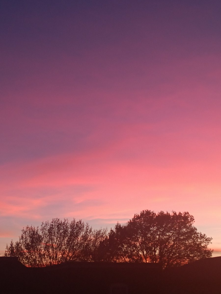 Charlotte✨ tweet media