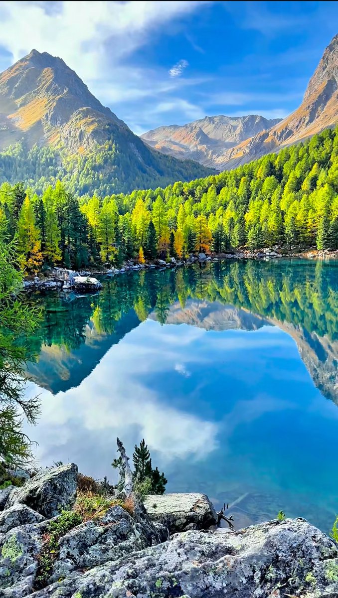 𝐤𝐮𝐦𝐚𝐫_𝐀𝐲𝐲𝐚𝐫 tweet media