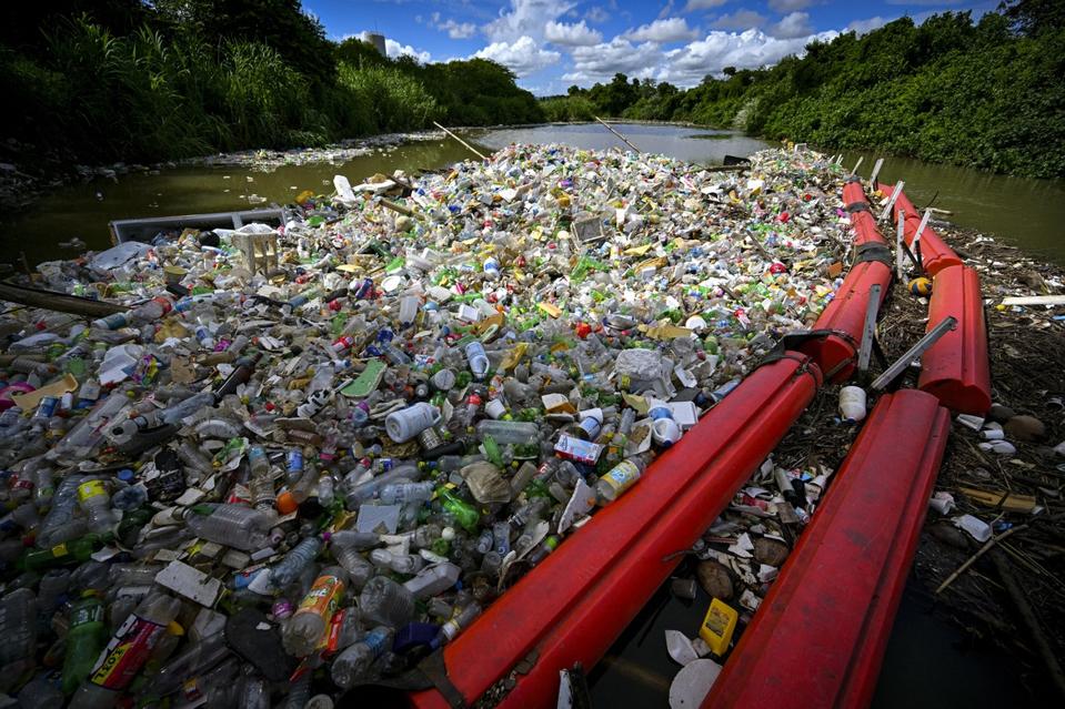 Possum Reviews tweet media