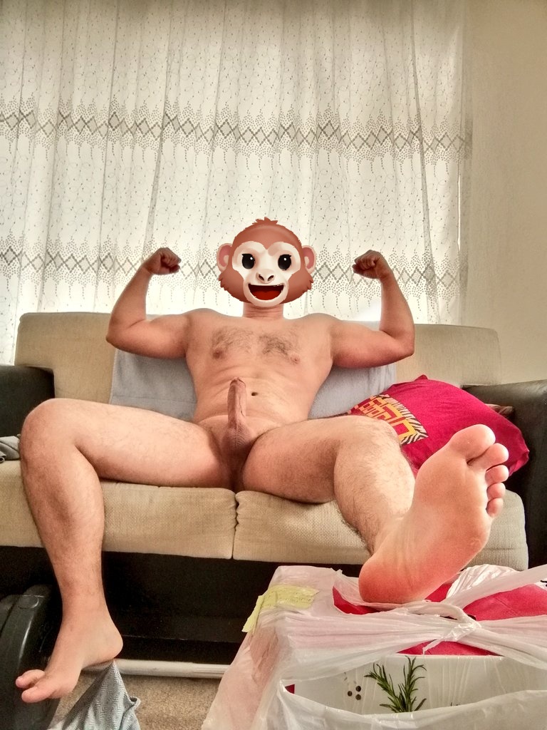 🦍🦍🦍KOCA GORİL 🦍🦍🦍 tweet media