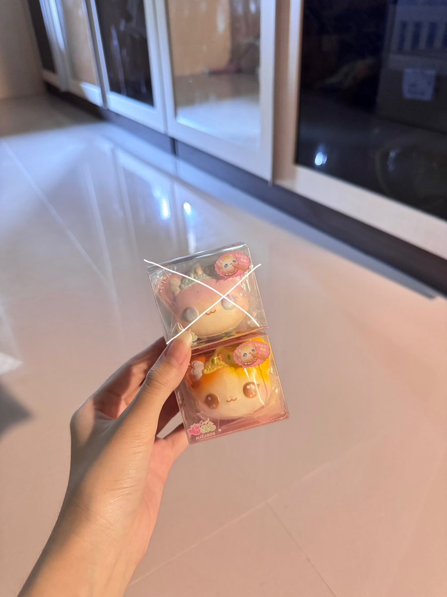 biscuit⋆⑅˚ ₊ tweet media