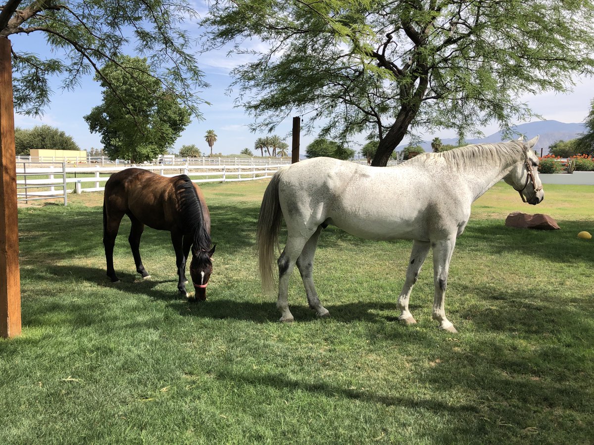 Glorious Alliance tweet media