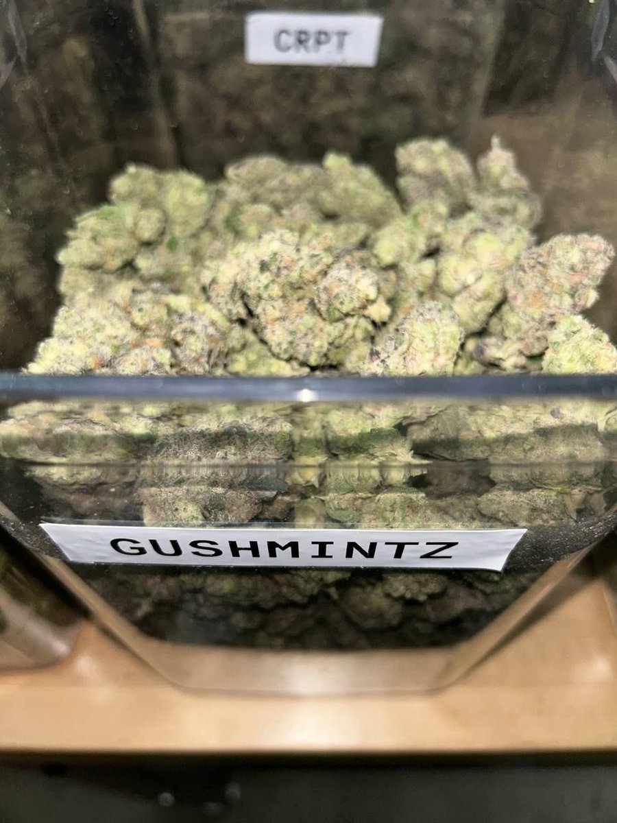 PacklandfarmXclusive tweet media