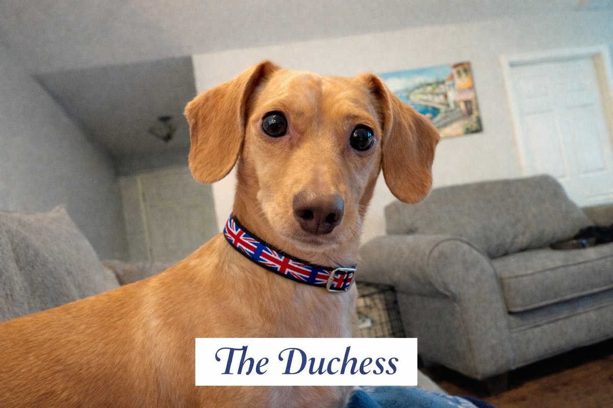 Brent Downs, CGCS MG tweet media