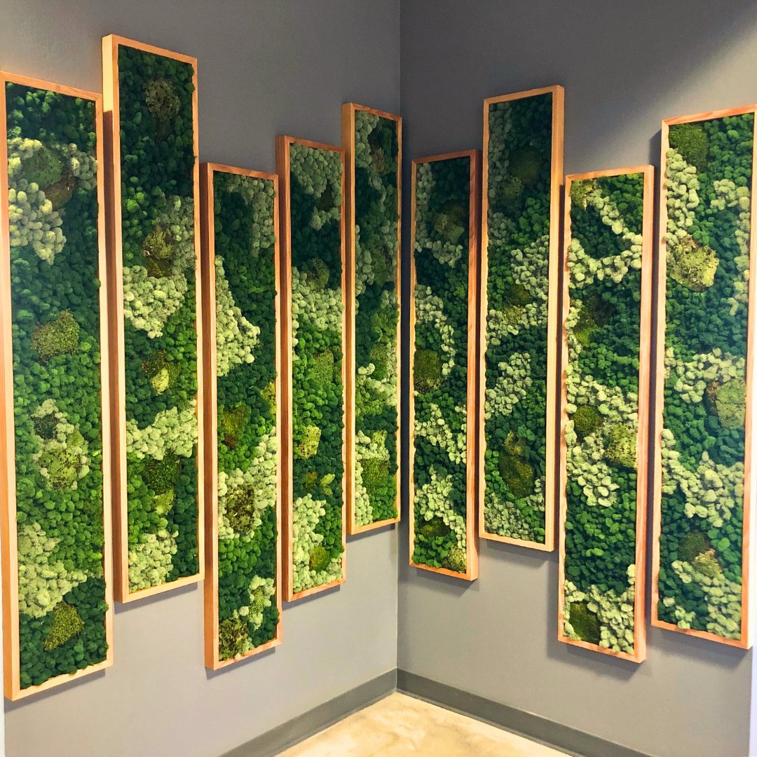 Greenleaf IPS tweet media