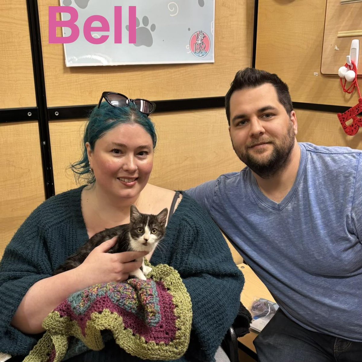 Itsie Bitsie Rescue tweet media