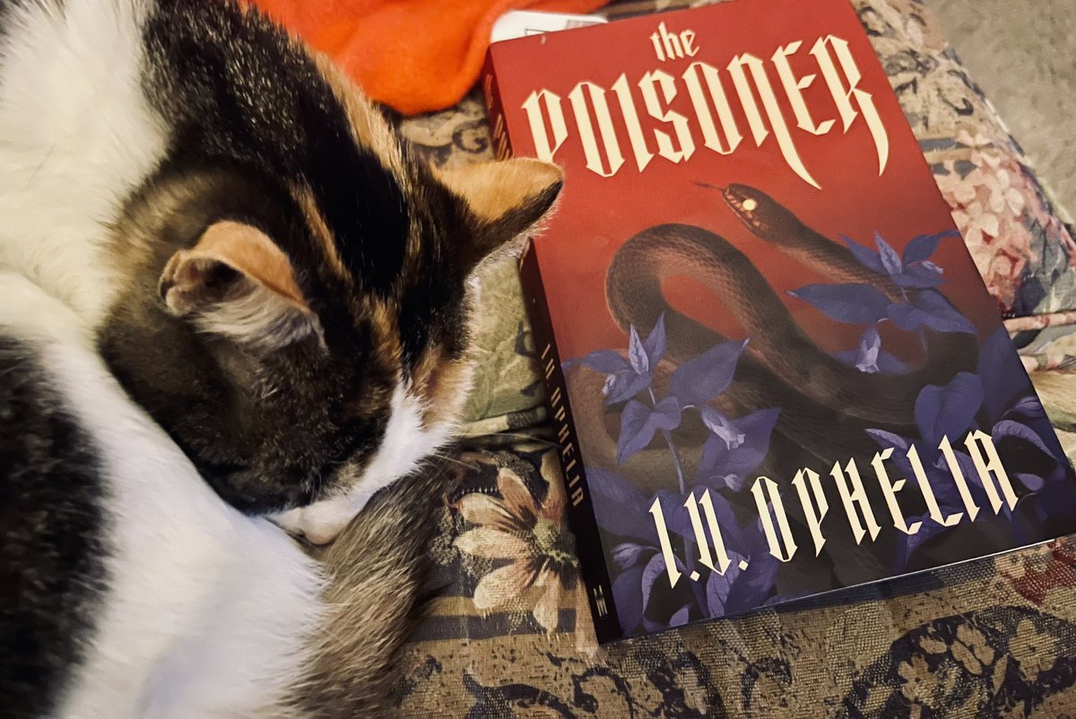 ❤️‍🔥 b ❤️‍🔥 tweet media