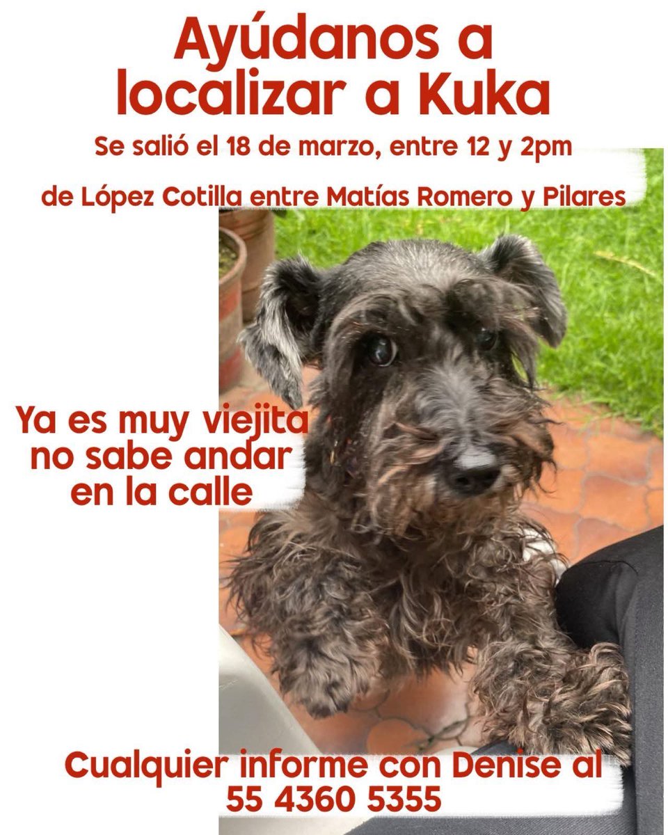 LEYPOLITICA's tweet photo. Ayudemos por favor.🙏🏻 https://t.co/KcImksHlnA