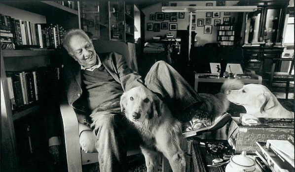 pedro derrant tweet media