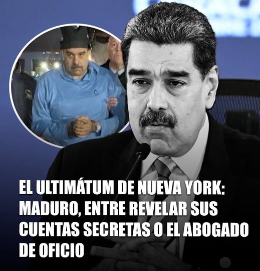 Mary Luz 🎉🇻🇪 tweet media