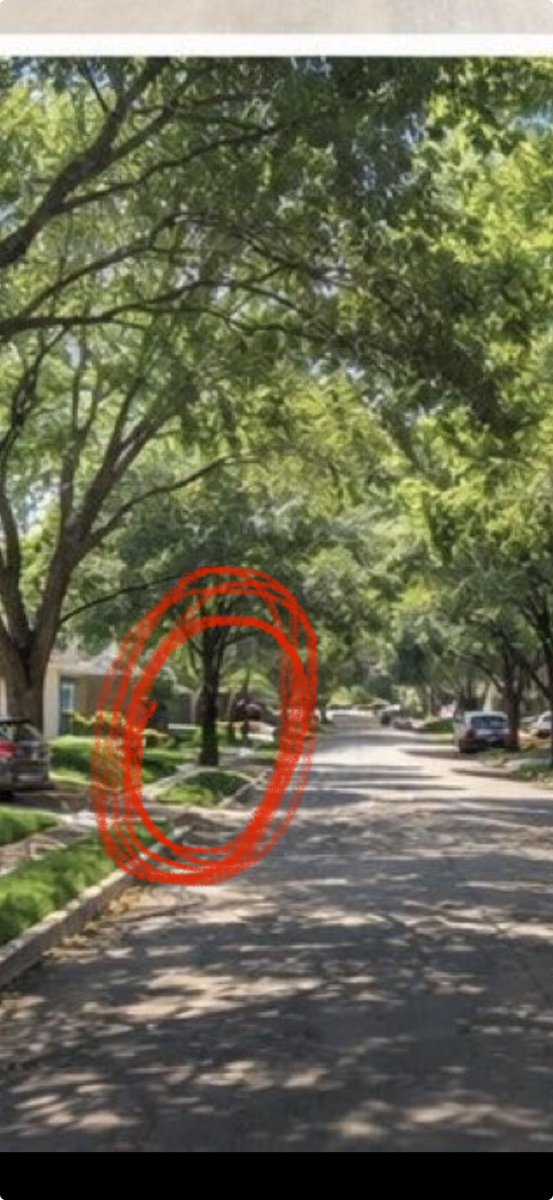 andy rosenbaum tweet media