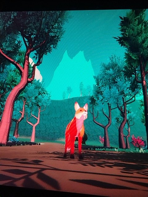 nonoahn | Escudeiro 🤘🏻🔥 tweet media