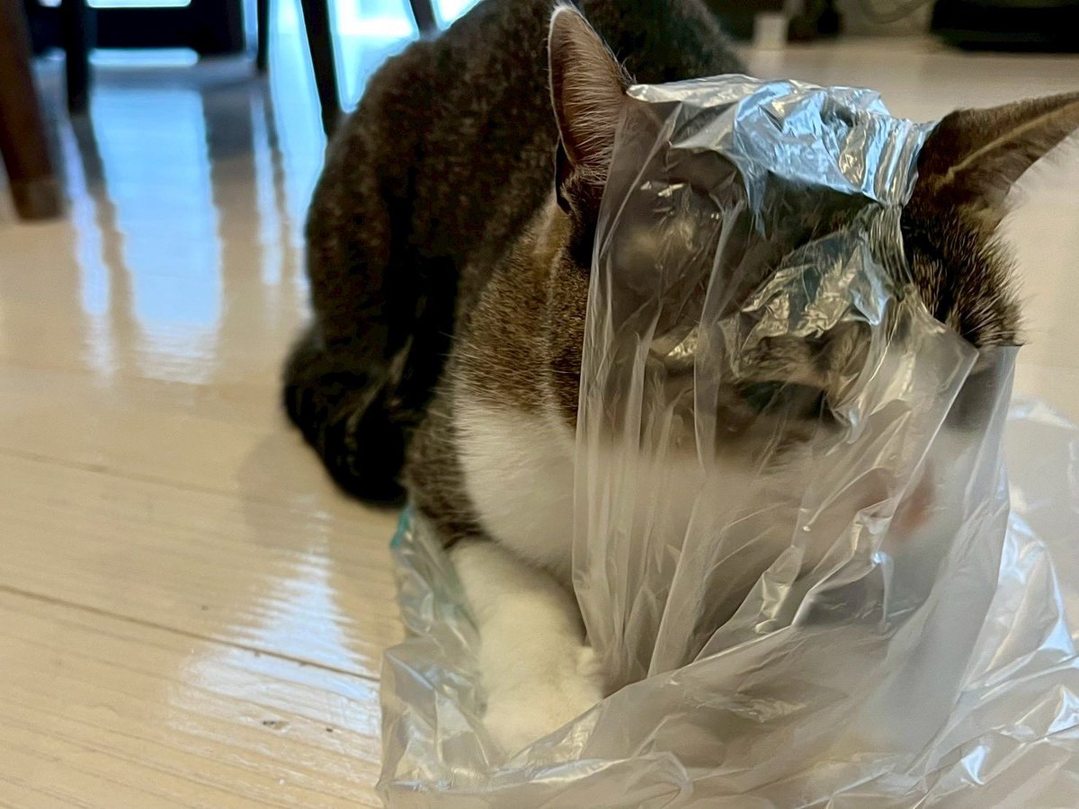 マックシステム株式会社 tweet media