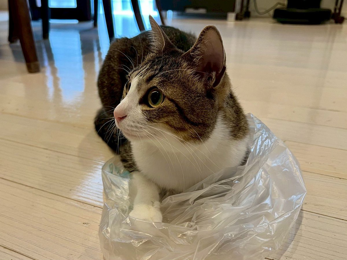 マックシステム株式会社 tweet media