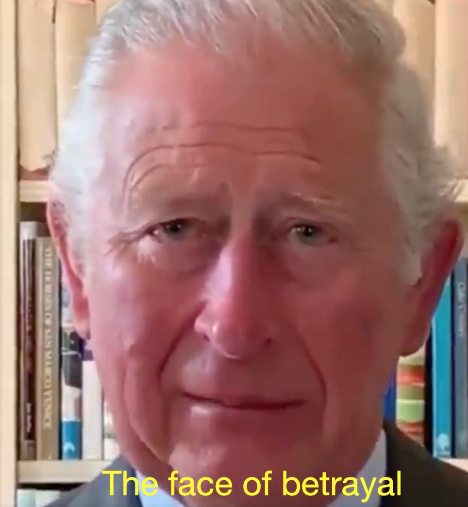 John B 🏴󠁧󠁢󠁥󠁮󠁧󠁿 tweet media