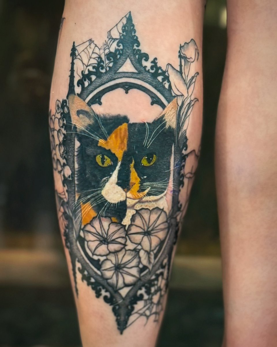 𝔥𝔞𝔯𝔩𝔬𝔴 𝔬’𝔥𝔞𝔯𝔞 tweet media