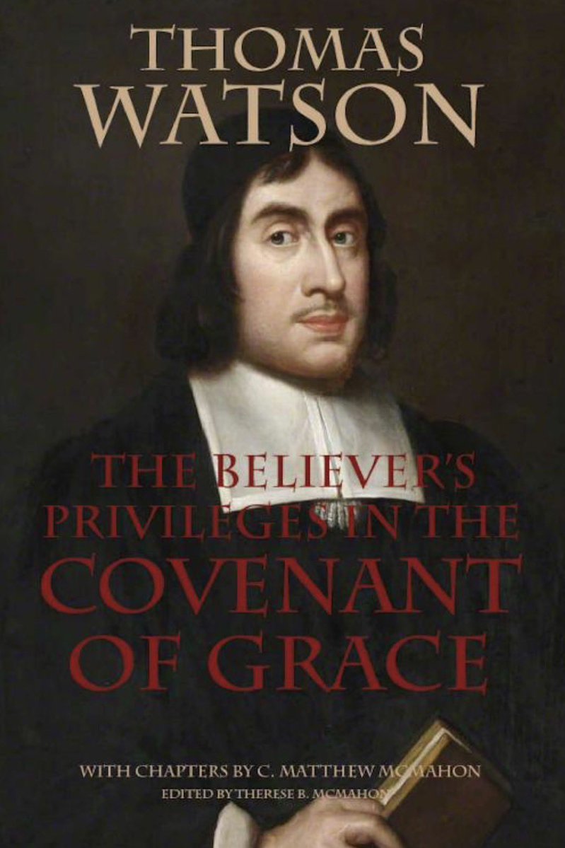 Matthew Pearson☩🌲 tweet media