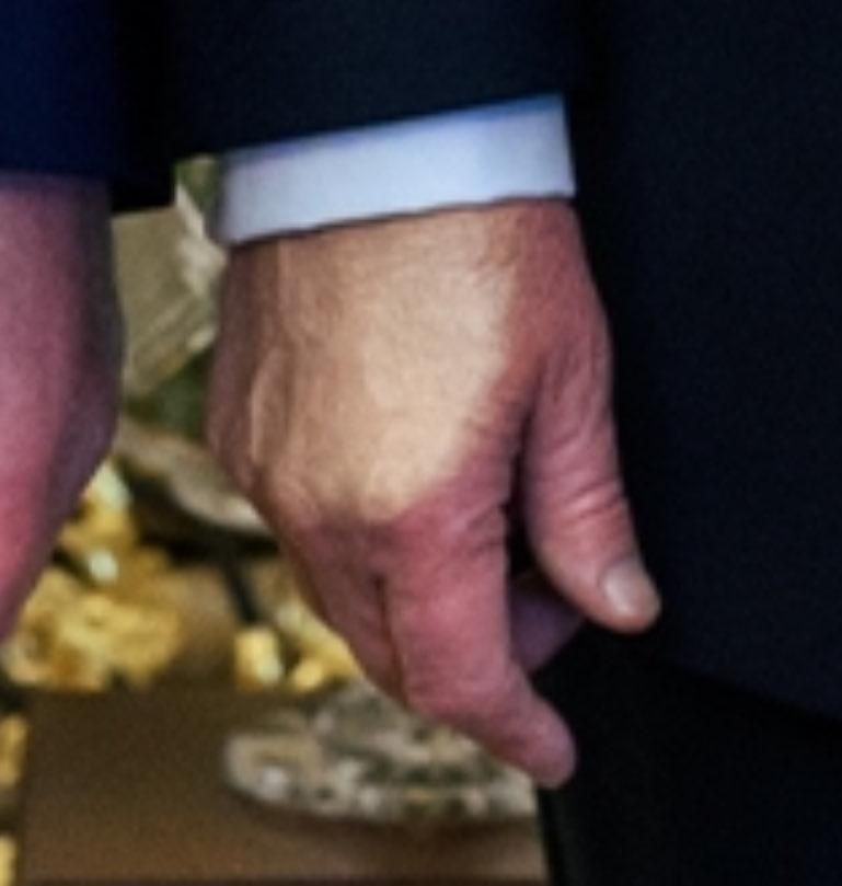 Mack's Cats tweet media