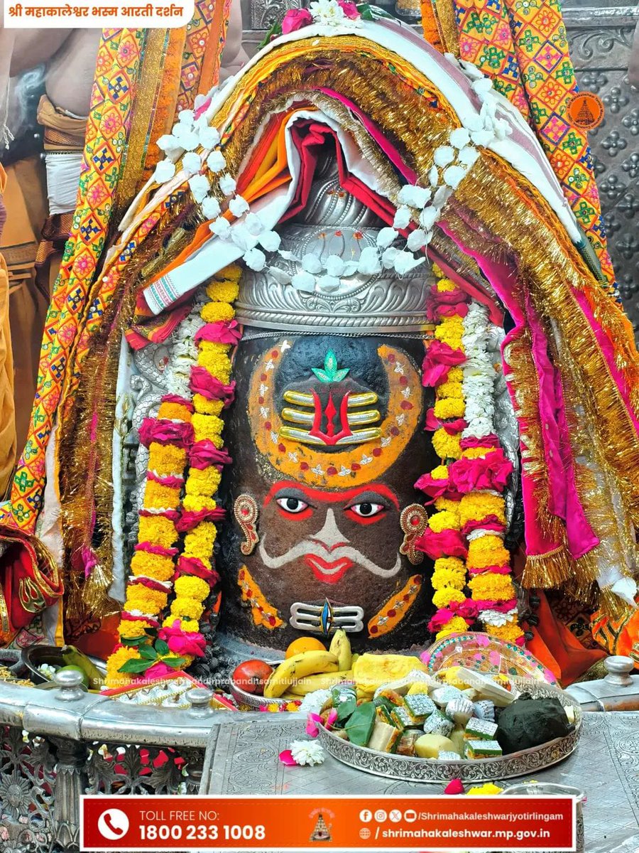 Ashi Patel 🇮🇳 tweet media