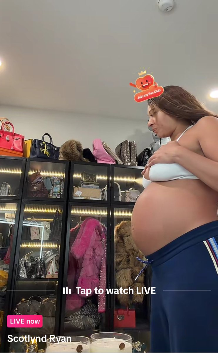 Zeus Network TEA ☕️ tweet media