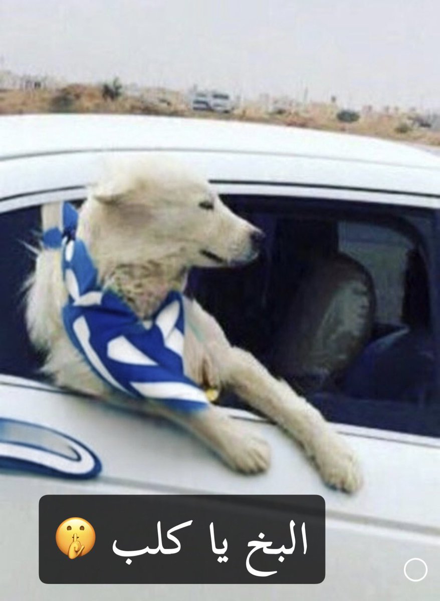 عبرود النصر®️ tweet media