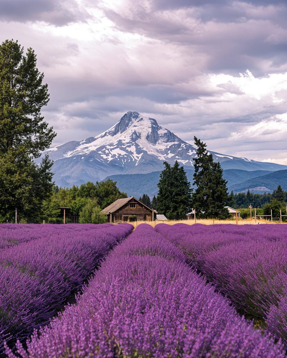 N A T U R E tweet media