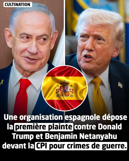 🅿🄴🅰🄲🅴 🆃🅅 tweet media