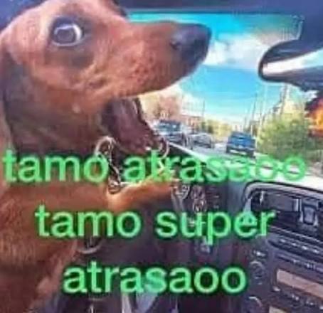 SSF | Capi de Capitán tweet media