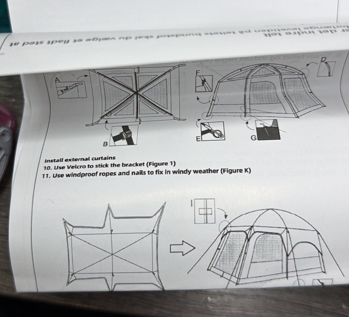 Alena/Seansgirl tweet media