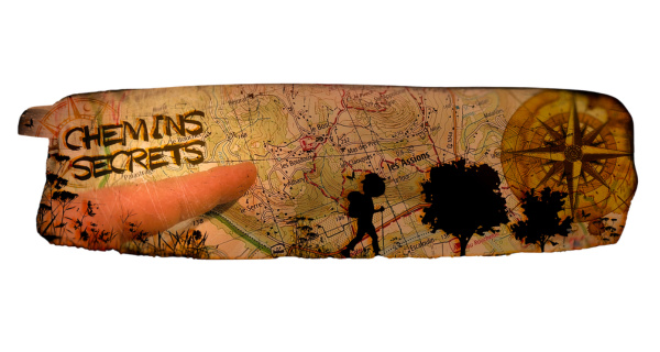 Chasse au trésor tweet media