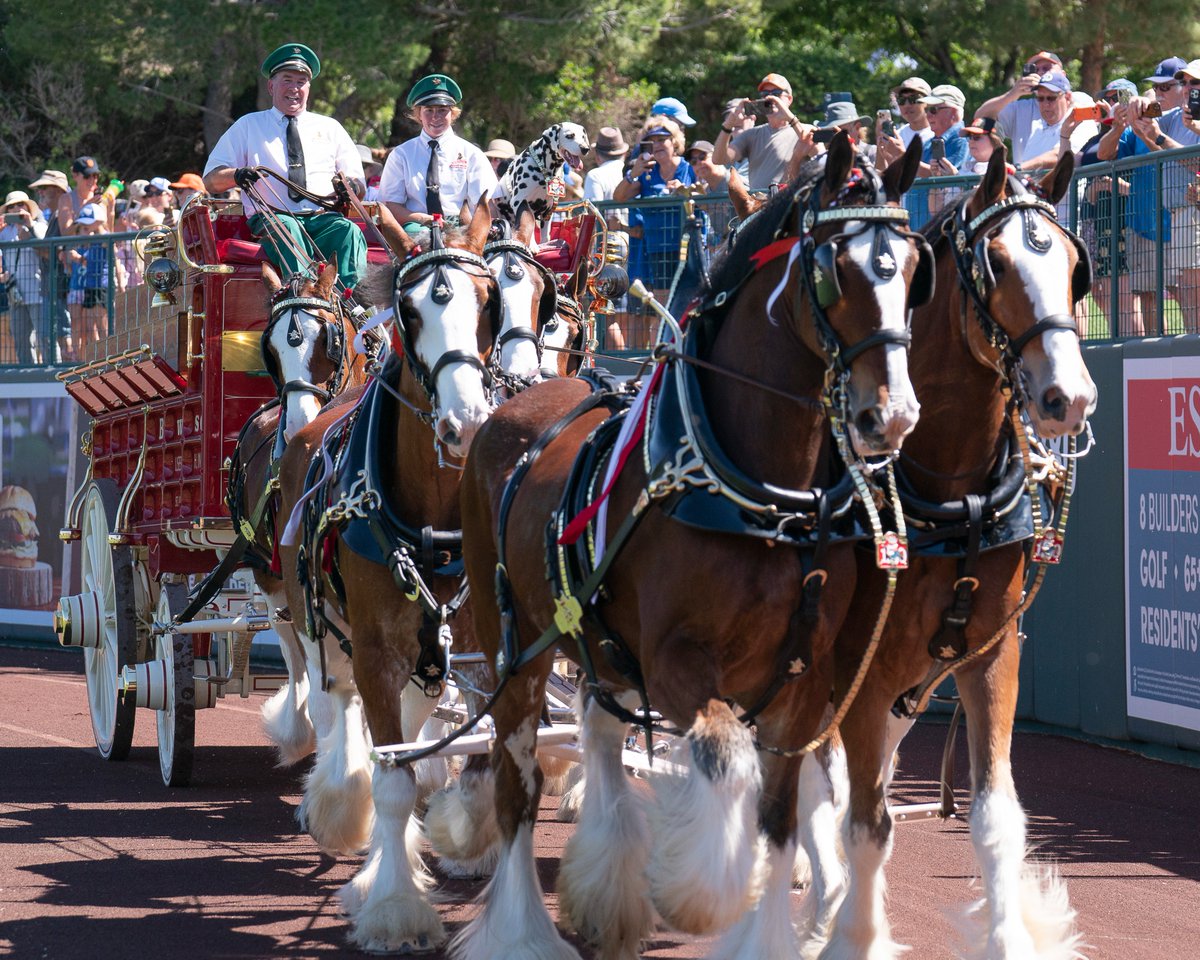 Camelback Ranch tweet media