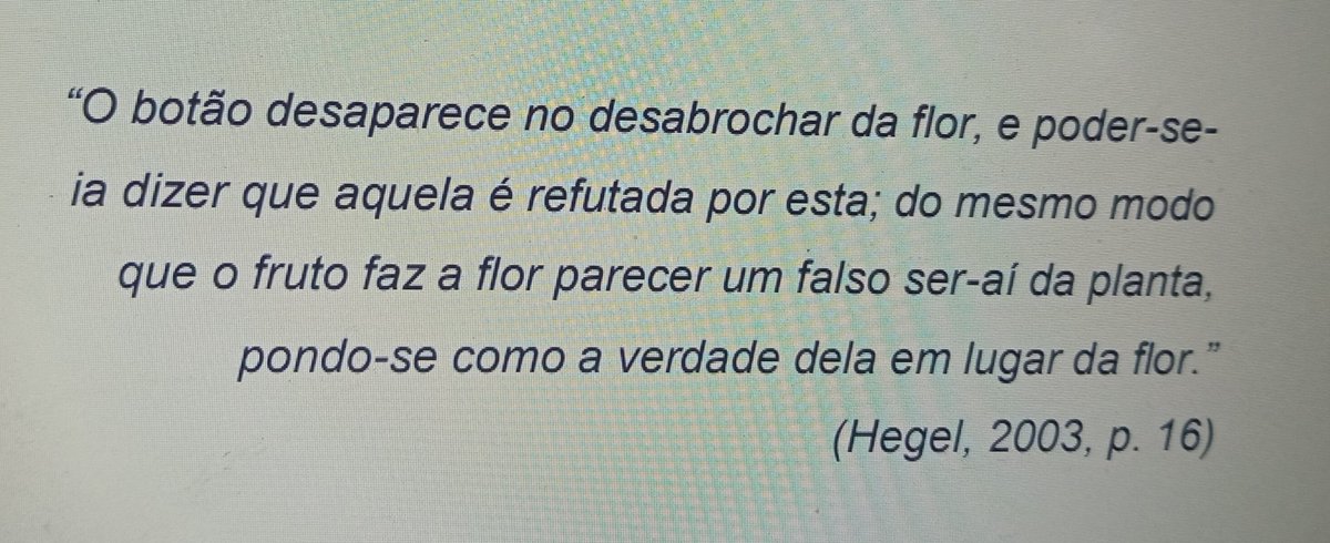 laura botx tweet media