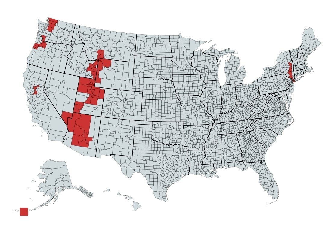 ✨Pocket Bree✨ tweet media