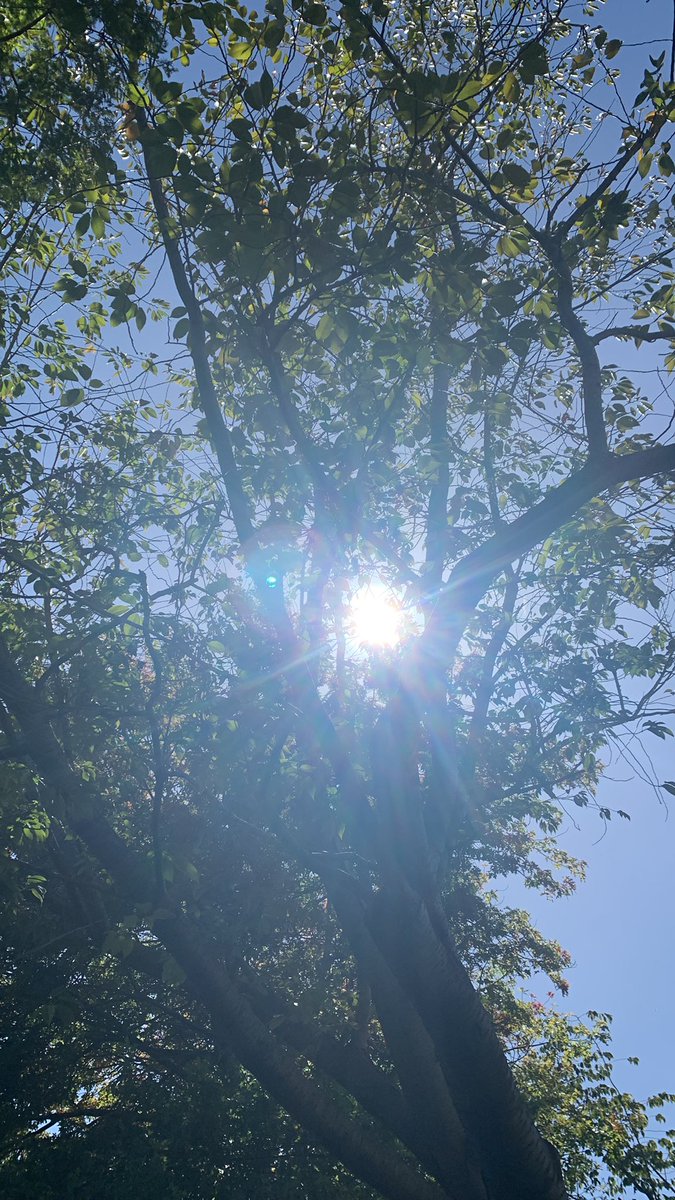 Paladin Posting tweet media