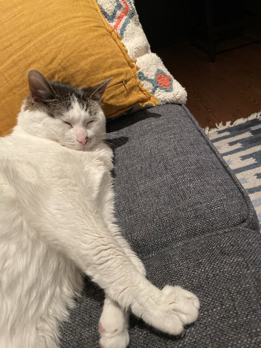 Marg Stubington tweet media