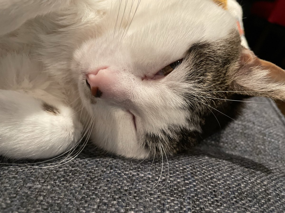 Marg Stubington tweet media