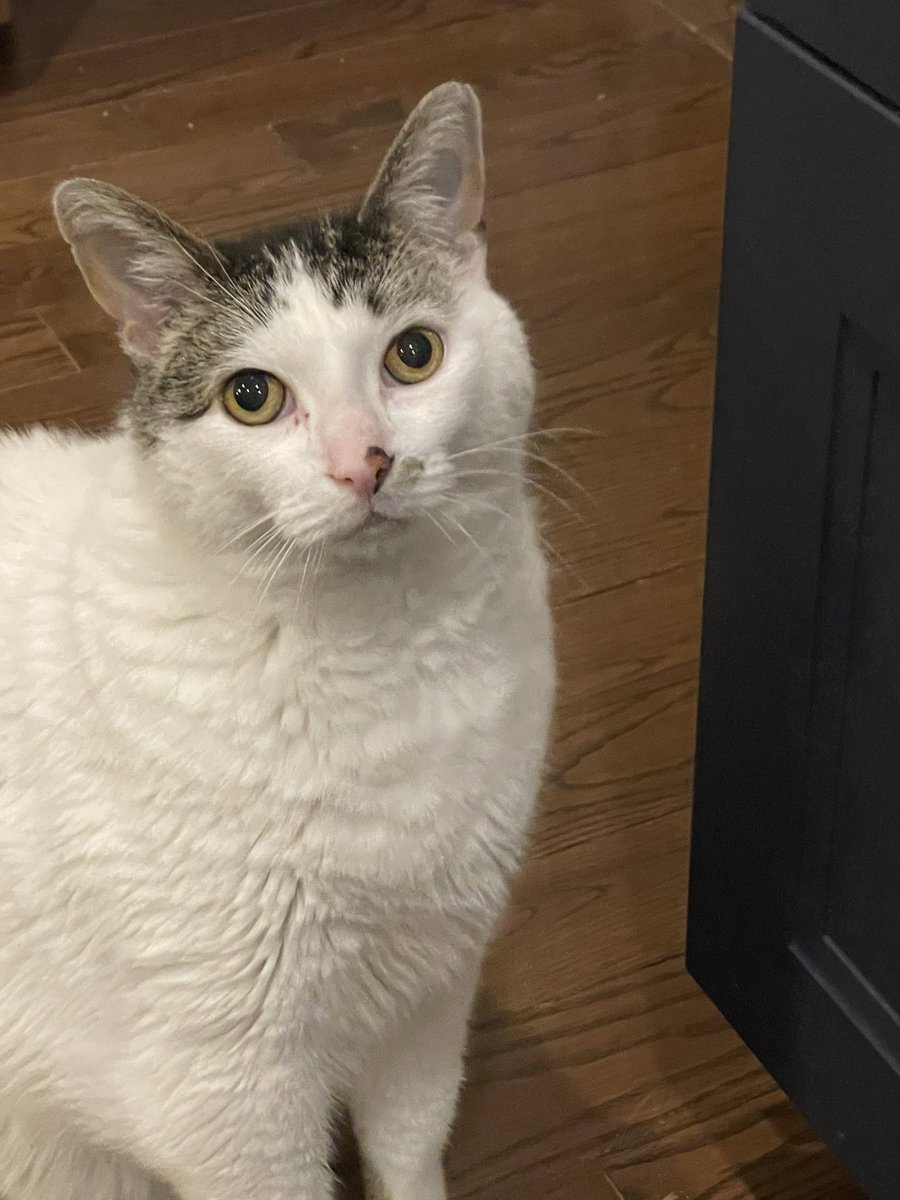 Marg Stubington tweet media