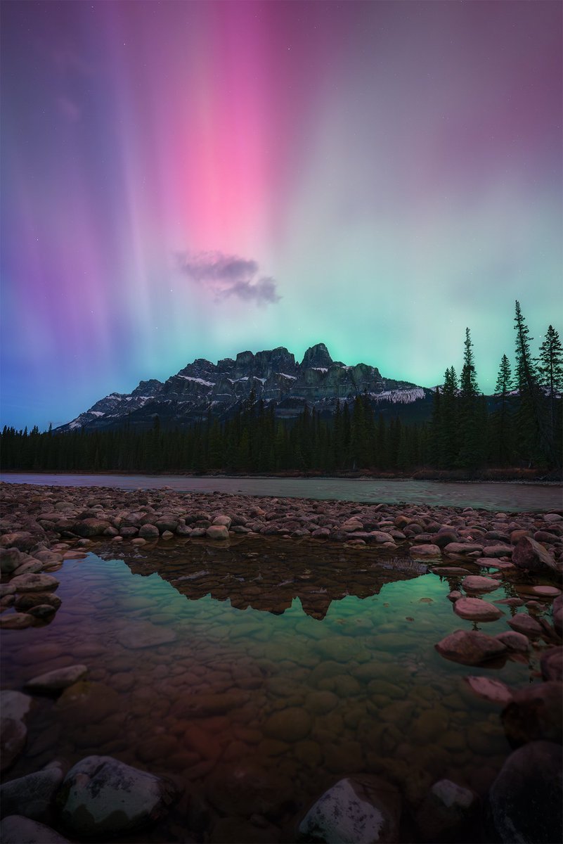 James Andrew tweet media