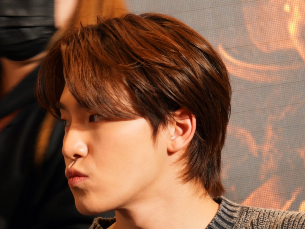 For my new and old Dinonara friends