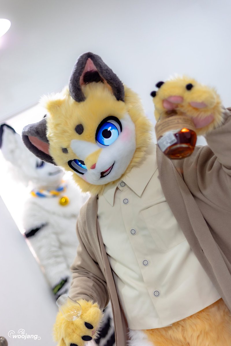 터리조아 tweet media