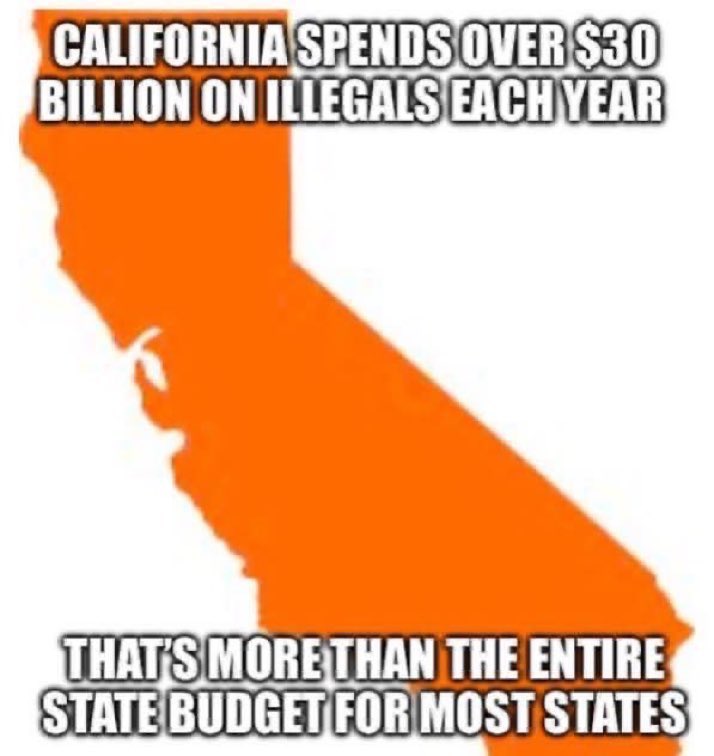 Ray 🇺🇸 tweet media