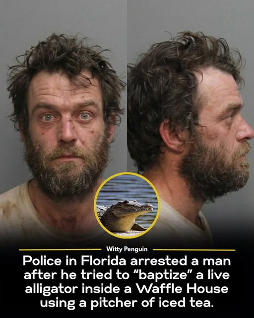 A Man Of Memes tweet media