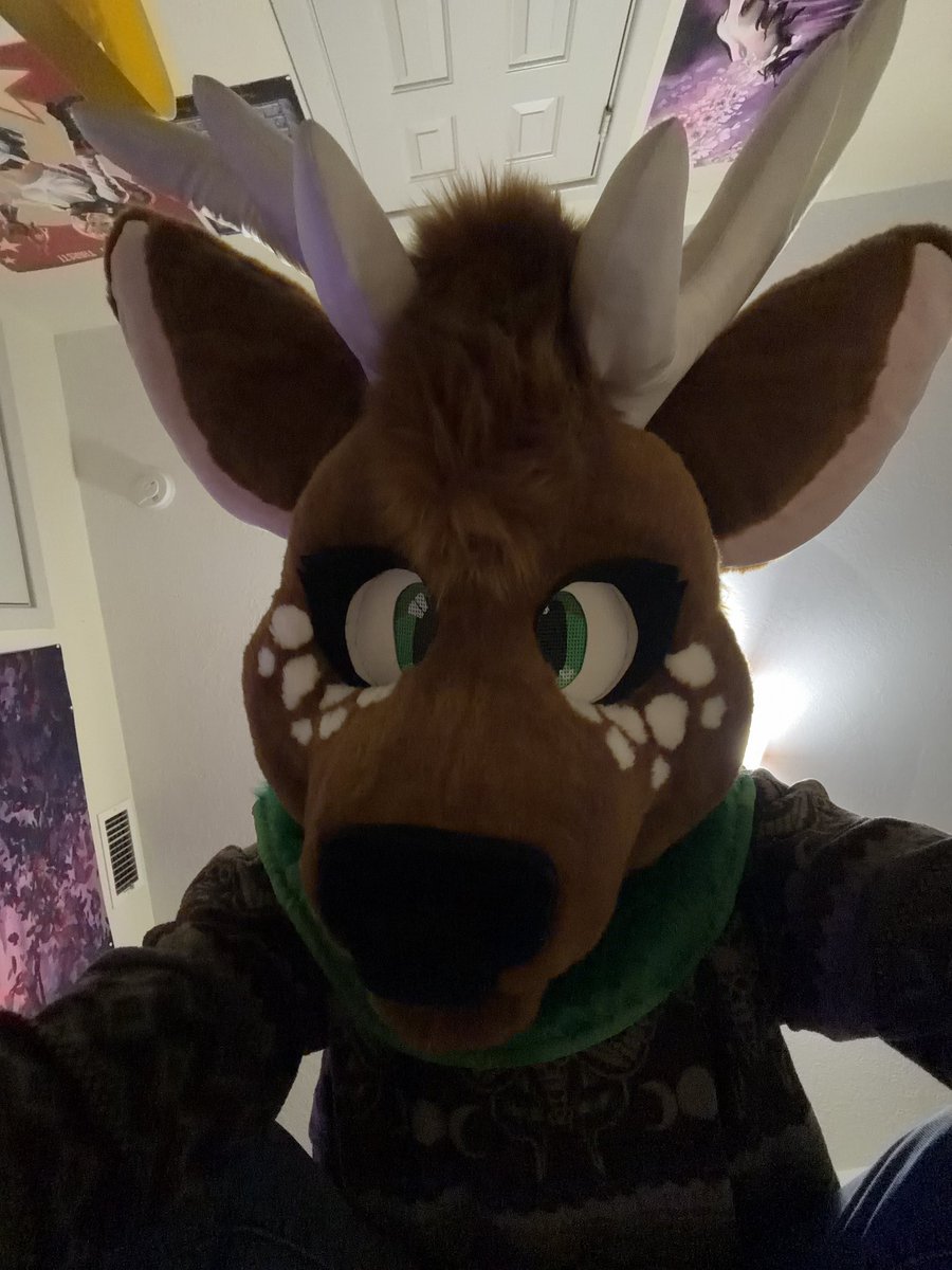 🦊shanti🦊 tweet media