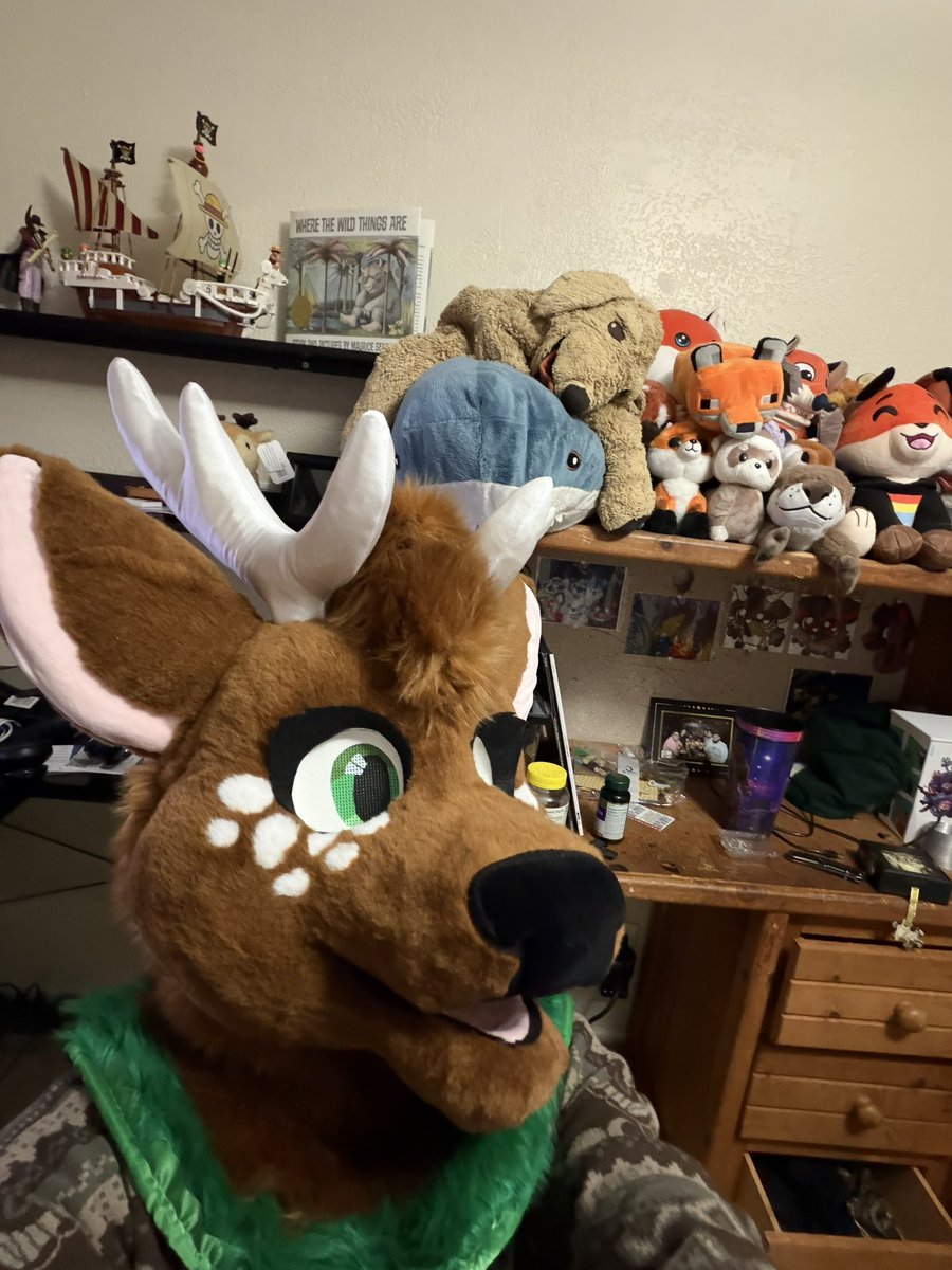 🦊shanti🦊 tweet media