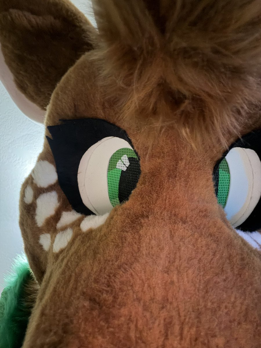 🦊shanti🦊 tweet media