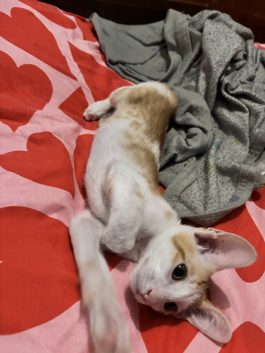 MummyisTired tweet media