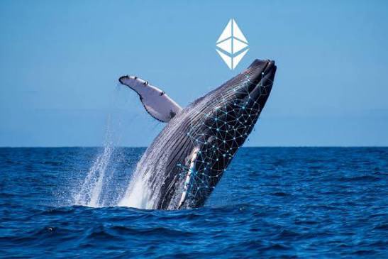 흡수맨 🩸 tweet media